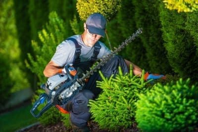 landscaper 1 landscaper 1