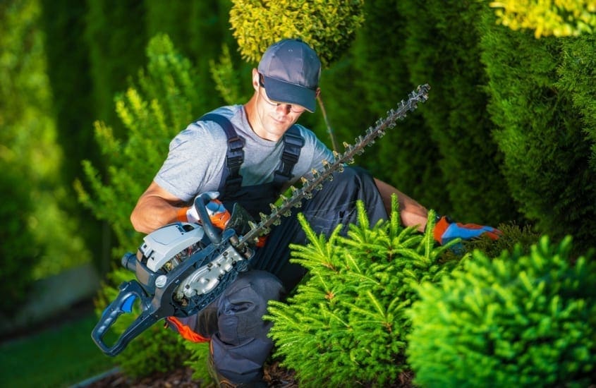 landscaper 1