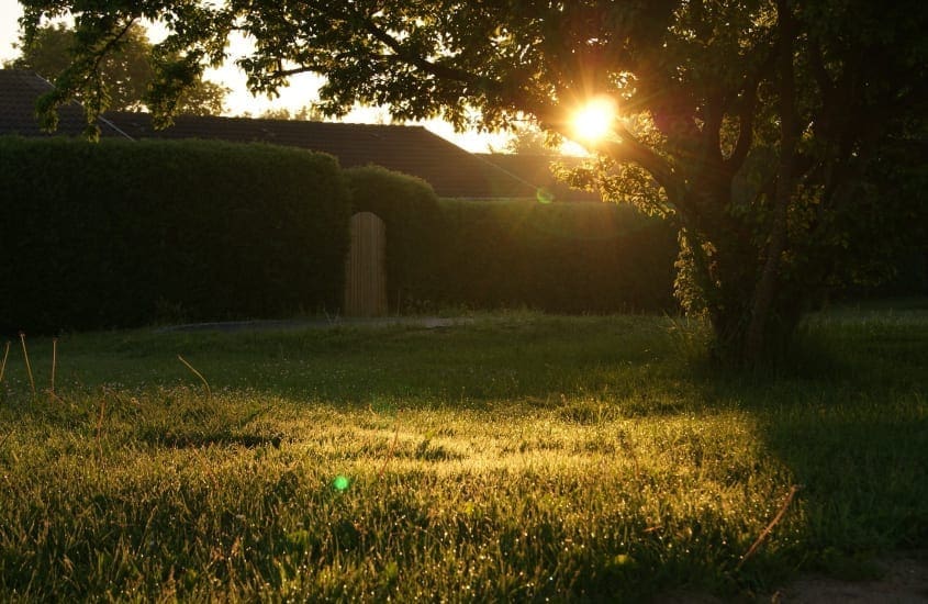 Backyard with Wooden door